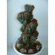 Cereus peruvianus monstrosus