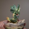 Pachyphytum compactum variegata - детка