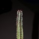 Euphorbia confinalis