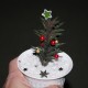 Хавортия Новогодняя мини елочка 2026