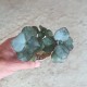 Crassula Blue Bird