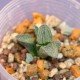 Haworthia pygmaea Super White