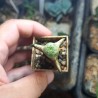Эуфорбия Euphorbia turbiniformis