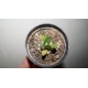 Pachypodium brevicaule
