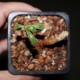 Тилекодон Tylecodon leucothrix