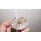 Conophytum pellucidum v neohallii