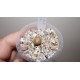 Conophytum pellucidum v neohallii