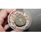 Astrophytum Ooibo Gold
