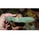 Gasteria glomerata