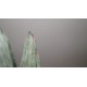 Gasteria Misuzu no Fuji