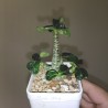 Адениум Adenium мини