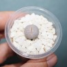 Динтерантус Dinteranthus wilmotianus - Галерея