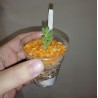 Crassula hirtipes