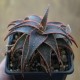 Aloe сортовое Christmas Carol