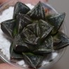 Haworthia splendens Kotohime AY20
