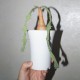 Euphorbia buruana